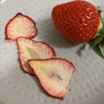 ふるさと納税 小牧市 [数量限定]ドライフルーツ イチゴ 30g(15g×2袋)[175R03]