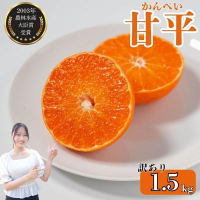 ふるさと納税 愛南町 [発送期間:2027年2月〜]甘平(かんぺい) 訳あり 約1.5kg 吉本農園