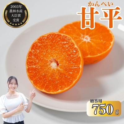 ふるさと納税 愛南町 [発送期間:2027年2月〜]甘平 贈答用 約750g 吉本農園 みかん