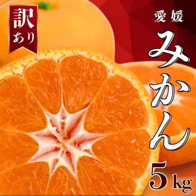 ふるさと納税 愛南町 [発送期間:2026年10月〜]訳あり 愛媛みかん 5kg みかん 愛媛県 愛南町 吉本農園