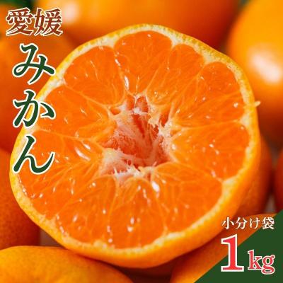 ふるさと納税 愛南町 [発送期間:2026年10月〜]小分け 愛媛みかん 1kg みかん 愛媛県 愛南町 吉本農園
