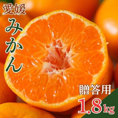 ふるさと納税 愛南町 [発送期間:2026年10月〜]贈答用 愛媛みかん 1.8kg みかん 愛媛県 愛南町 吉本農園