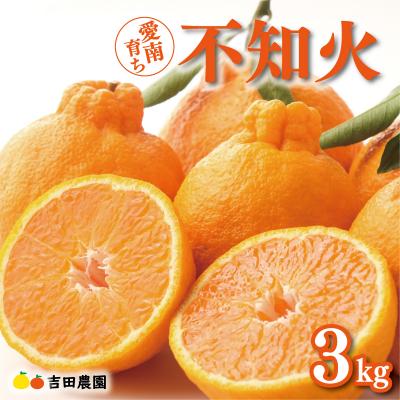 ふるさと納税 愛南町 数量限定 先行受付 不知火 3kg しらぬい みかん 吉田農園 愛南町 愛媛県