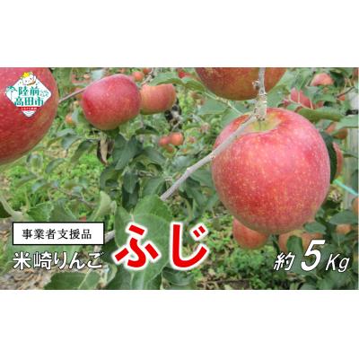 ふるさと納税 陸前高田市 [事業者支援] 訳ありりんご 「ふじ」 約5kg 16玉前後 清水農園 果物 フルーツ