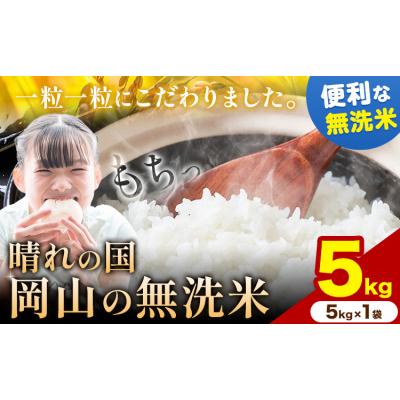 ふるさと納税 矢掛町 [スピード発送!] 晴れの国岡山の無洗米 5kg 岡山県産 矢掛町[7-14営業日出荷(土日祝除