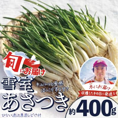 ふるさと納税 大館市 あさつき キュルッと食感、ほっこりする甘さ 約400g