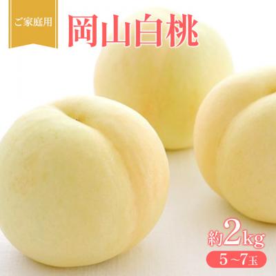 ふるさと納税 赤磐市 桃 2026年 先行受付 ご家庭用 岡山 白桃 約2kg (5〜7玉) [NO5765-1430]