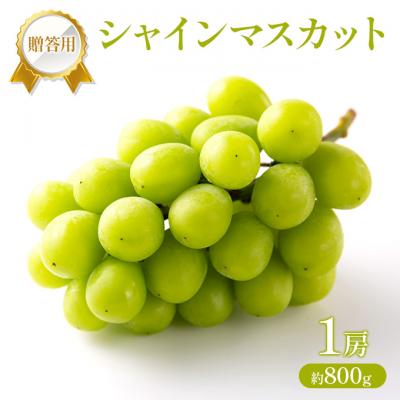 ふるさと納税 赤磐市 ぶどう 2026年 先行受付 贈答用 シャインマスカット 1房 約800g[NO5765-1432]