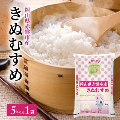 ふるさと納税 赤磐市 米 2025年産 きぬむすめ 5kg 1袋 [NO5765-1443]