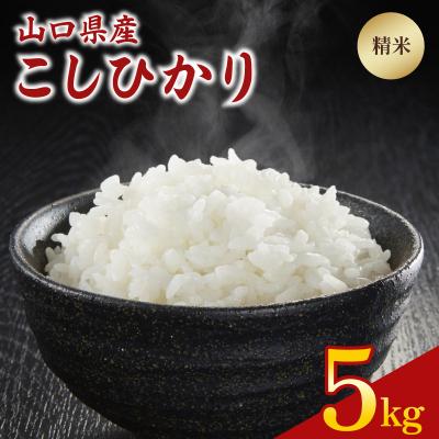 ふるさと納税 下関市 令和7年度米 こしひかり 5kg 山口県 下関市産 MD001-x