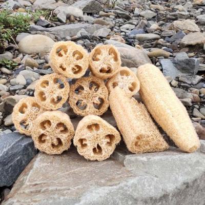 ふるさと納税 土佐清水市 サンゴの海を守る エコ ヘチマたわし スポンジ サイズミックス 10個【R01564】 |  | 02