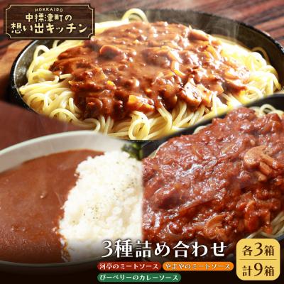 ふるさと納税 中標津町 中標津想い出キッチン河亭のミートソース・ぴーべりーのカレーソース・やまやのミートソース[32038]