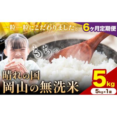 ふるさと納税 矢掛町 [6ヶ月定期便]晴れの国岡山の無洗米 5kg 岡山県産 矢掛町[申し込み翌月から発送]