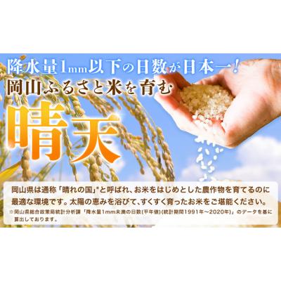 ふるさと納税 矢掛町 【6ヶ月定期便】晴れの国岡山の無洗米 5kg 岡山県産 矢掛町《申し込み翌月から発送》の画像