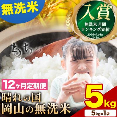 ふるさと納税 矢掛町 [12ヶ月定期便]晴れの国岡山の無洗米 5kg[申し込み翌月から発送]