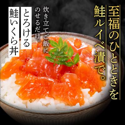 ふるさと納税 千歳市 ＜佐藤水産＞鮭ルイベ漬業務用 450g(容器付き) ×2個(合計900g) |  | 02