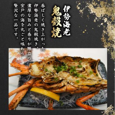 ふるさと納税 室戸市 【訳あり】活 伊勢海老 訳あり 500g(1〜3匹) 冷蔵 |  | 02