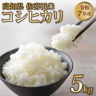 ふるさと納税 室戸市 米 5kg 令和7年度産 コシヒカリ こしひかり