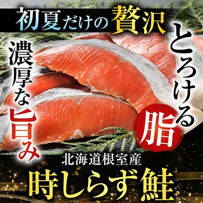 ふるさと納税 根室市 【北海道根室産】時しらず鮭600g・いくら醤油漬け50g×3P C-42094