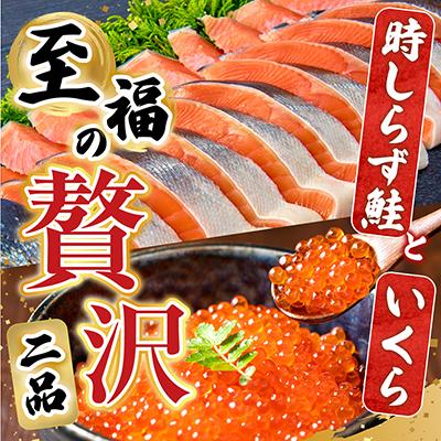 ふるさと納税 根室市 【北海道根室産】時しらず鮭1.5kg・いくら醤油漬け50g F-42013の画像