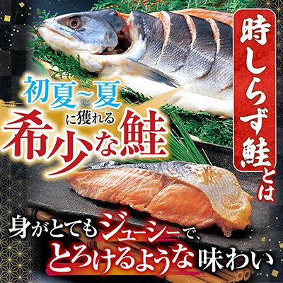 ふるさと納税 根室市 【北海道根室産】時しらず鮭1.5kg・いくら醤油漬け50g F-42013の画像