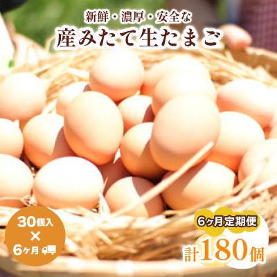 ふるさと納税 下関市 たまご 卵 定期便6ヶ月 30個×6ヶ月 計180個 (26個+割れ保障4個 )