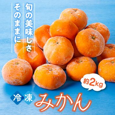 ふるさと納税 新宮町 冷凍みかん約2キロ[限定100セット]