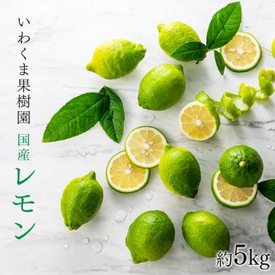 ふるさと納税 新宮町 貴重な国産レモン.約5kg/2026年9月〜2027年2月発送予定