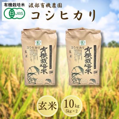 ふるさと納税 南相馬市 JAS有機米 コシヒカリ 玄米 10kg(5kg×2袋) 令和7年産 新米 | 有機米 渡部有機農園