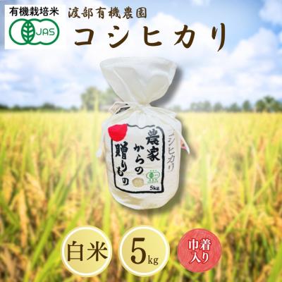 ふるさと納税 南相馬市 JAS有機米 コシヒカリ 白米 5kg キンチャク入り 令和7年産 新米 | 有機米 渡部有機農園