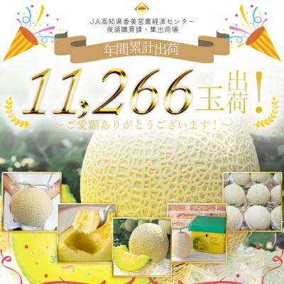 ふるさと納税 香南市 エメラルドメロン 1玉 [2回定期便] 夜須のエメラルドメロン Wyu-0029