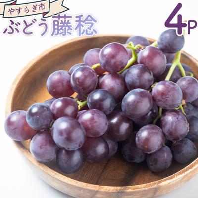 ふるさと納税 香南市 ぶどう 藤稔 4パック yr-0099
