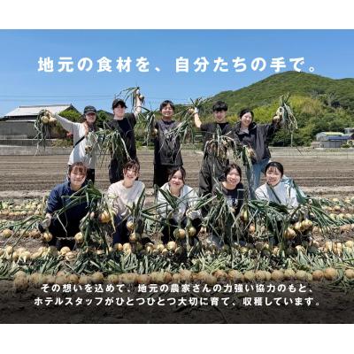 ふるさと納税 南あわじ市 【先行受付】海月館 自社農場栽培!淡路島産 新玉ねぎ 10kgの画像