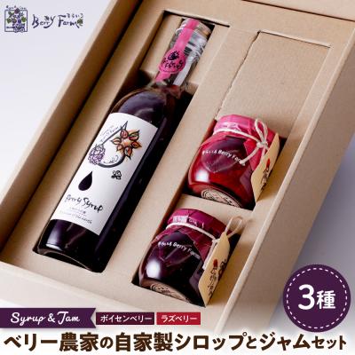 ふるさと納税 東根市 ベリー農家の自家製ラズベリーシロップとジャム2種セット 山形県 東根市 hi094-006