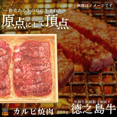 ふるさと納税 徳之島町 南原(はいばる)牧場 幻の徳之島牛 カルビ焼肉 300g