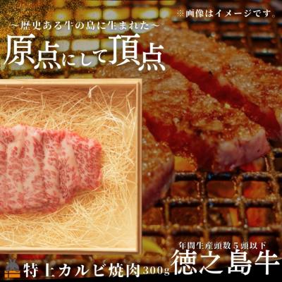 ふるさと納税 徳之島町 南原(はいばる)牧場 幻の徳之島牛 特上カルビ焼肉 300g