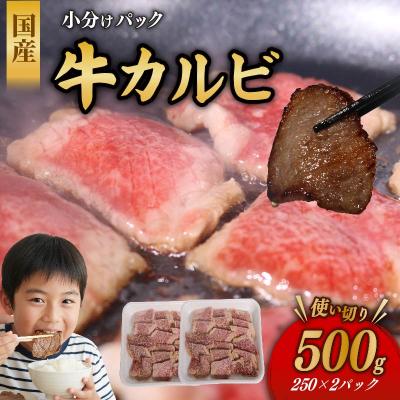 ふるさと納税 室戸市 国産 牛カルビ 500g 牛肉 焼肉