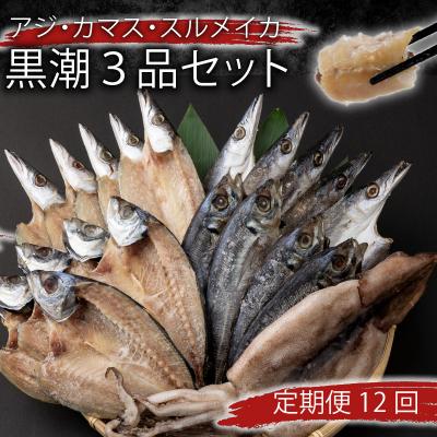 ふるさと納税 室戸市 [定期便 毎月12回] 干物 黒潮セット (アジ・カマス・スルメイカ)詰め合わせセット