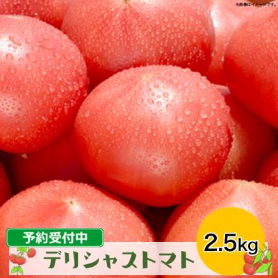 ふるさと納税 大崎市 高級トマト 糖度7度以上 デリシャストマト 2.5kg トマト フルーツ サラダ 甘さ 酸味 限定