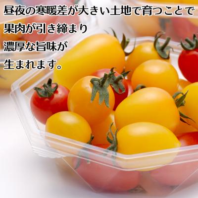 ふるさと納税 大崎市 【赤と黄色の2色入り】彩りミニトマト詰合せ 2kg