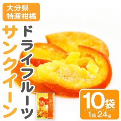 ふるさと納税 佐伯市 サンクイーン ドライフルーツ (24g×10袋)