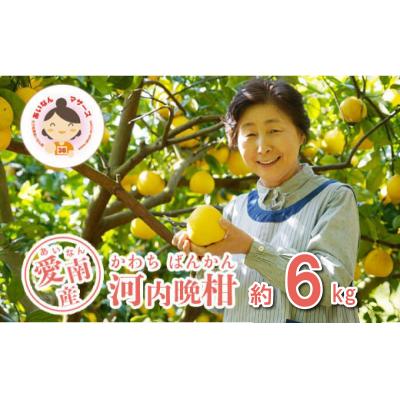ふるさと納税 愛南町 先行受付 河内晩柑 6kg みかん あいなんマザーズ 愛南町 愛媛県