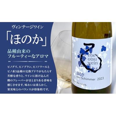 ふるさと納税 滝川市 えべおつWein 2023年ヴィンテージワイン ほのか