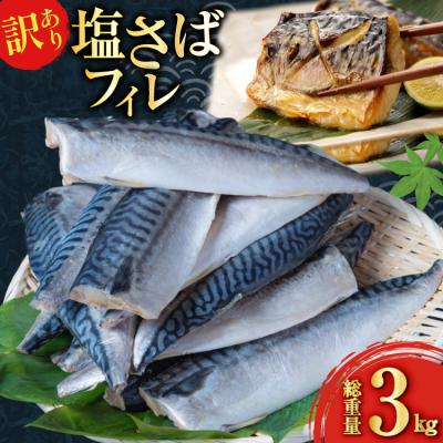 ふるさと納税 気仙沼市 訳あり 減塩 塩 サバ フィレ Sサイズ 総重量 3kg [足利本店 20565959] 鯖 さば