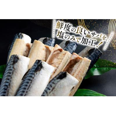 ふるさと納税 気仙沼市 訳あり 減塩 塩 サバ フィレ Sサイズ 総重量 2.5kg [足利本店 20565959]鯖 さば |  | 01