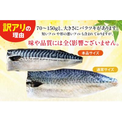 ふるさと納税 気仙沼市 訳あり 減塩 塩 サバ フィレ Sサイズ 総重量 2.5kg [足利本店 20565959]鯖 さば |  | 02