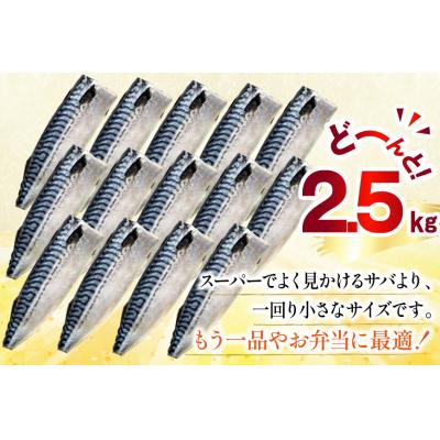 ふるさと納税 気仙沼市 訳あり 減塩 塩 サバ フィレ Sサイズ 総重量 2.5kg [足利本店 20565959]鯖 さば |  | 03