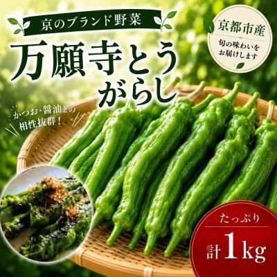 ふるさと納税 京都市 万願寺とうがらし(京野菜)1kg(目安30〜35本) |京都 野菜 人気セット
