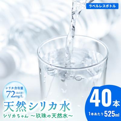 ふるさと納税 玖珠町 [2月上旬発送]シリカ天然水 525ml×40本 (シリカちゃん)ラベルレス 水