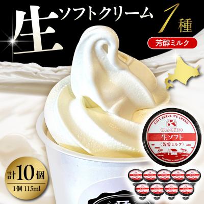 ふるさと納税 豊富町 生ソフトクリーム[芳醇ミルク] 計10個